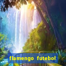 flamengo futebol play hd